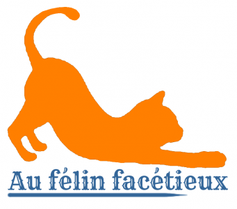 Au félin facétieux 